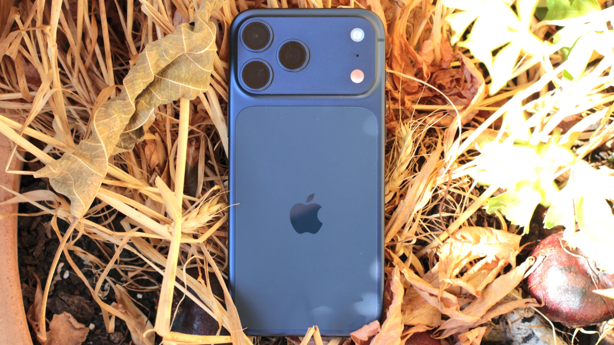 iPhone 17 User Review – Real Experience 2026